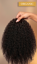 Black Power Wig