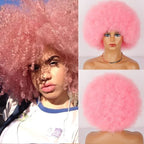 Black Power Wig
