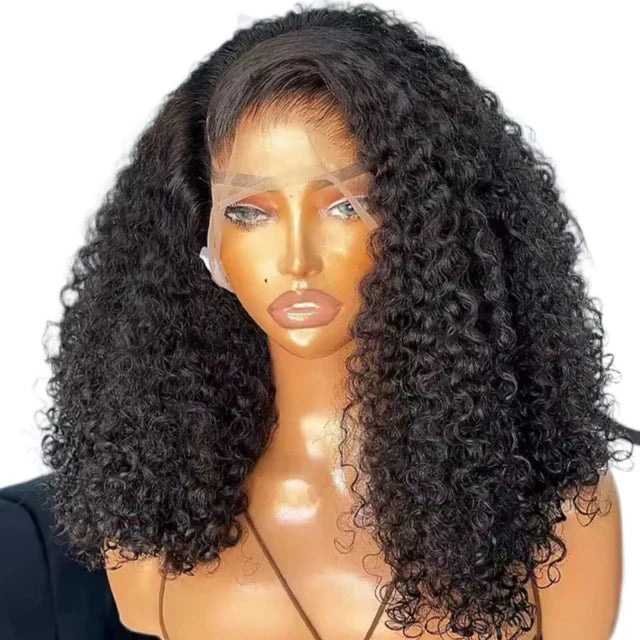 Curly Human Hair Lace Wig