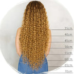 Curly Human Hair Lace Wig