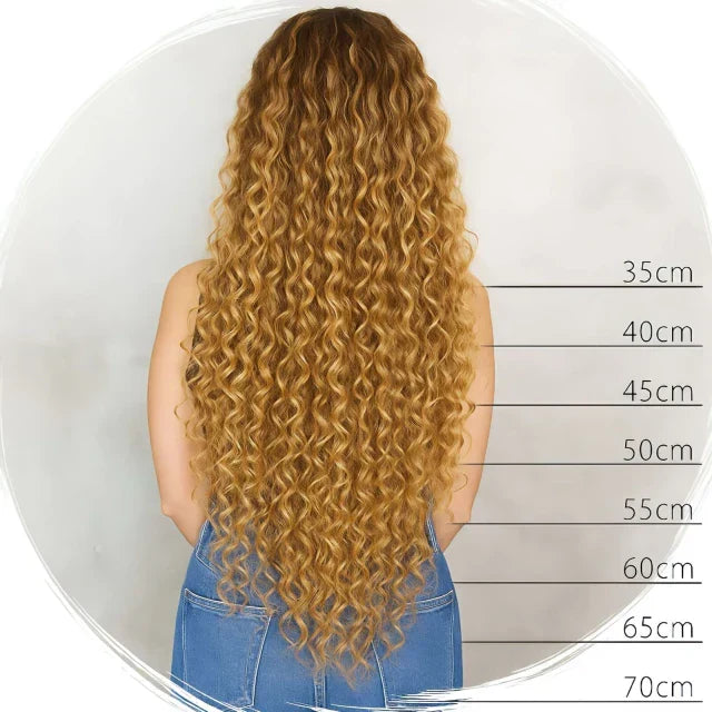 Curly Human Hair Lace Wig